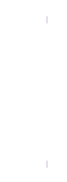 創業 明治三十五年 木元製菓舗